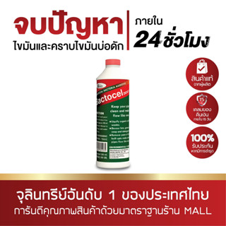 BACTOCEL 3001 300 ml ดับกลิ่นเหม็นไขมัน ย่อยสลายไขมัน แบคโตเซล บ่อดักไขมัน กลิ่นเหม็นส้วม ท่อตัน