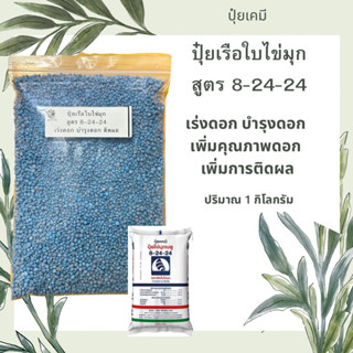 ปุ๋ยสูตร 8-24-24 ขนาด 1 กิโลกรัม ตราเรือใบไข่มุก เร่งดอก บำรุงดอก เพิ่มคุณภาพดอก เพิ่มอัตราการติดผล