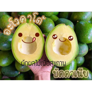 💥💥อะโวคาโด้🥑พันธ์บัคคาเนีย🥑🥑 สดๆจากสวน ราคาต้อ 1 kg อร่อย มัน หอม❤️ รับเคลม เน่า/เสีย ทักอินบล๊อกเพื่อรับเคลมสินค้า