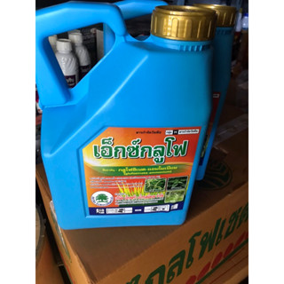 สามัญกลูโฟชิเนตกระลอนฟ้า