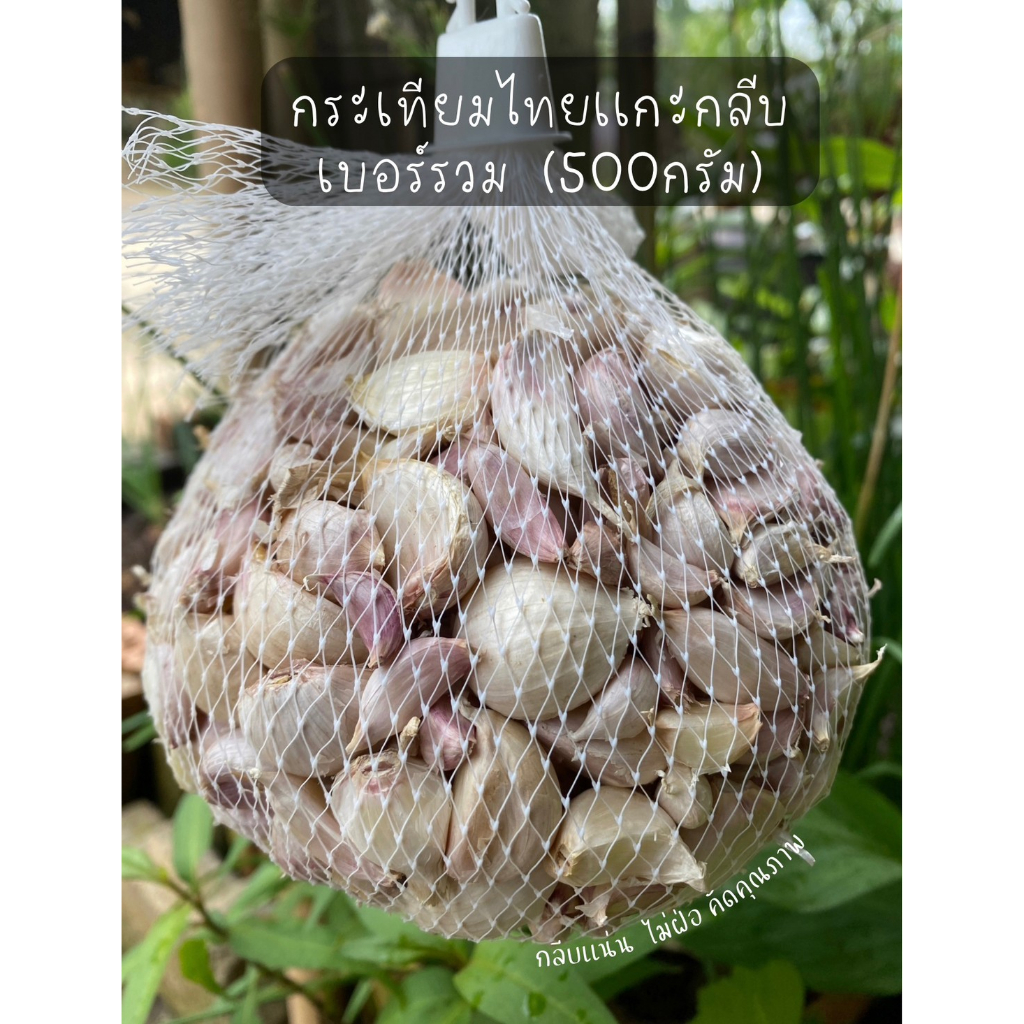 กระเทียมไทยแกะกลีบเบอร์ (2)