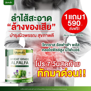 ✅ของแท้ส่งฟรีซื้อ1แถม1✅วีทกราสอัลฟาฟ่าผสมผงผัก