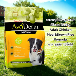 อาหารสุนัข AvoDerm 1.99kg. Exp02/2024 Adult Chicken Meal&amp;Brown Rice Formula อาหารสุนัข 1 ปีขึ้นไป