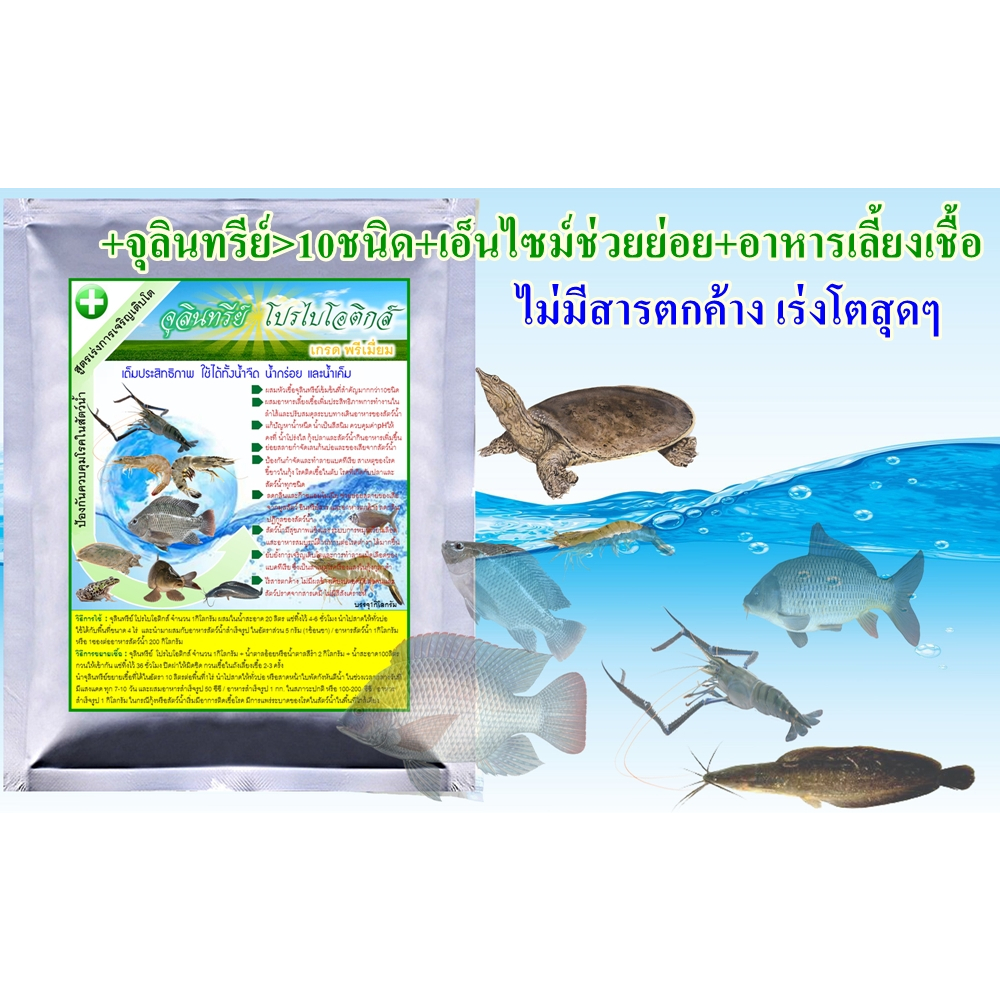 จุลินทรีย์ โปรไบโอติกส์ (เกรด พรีเมี่ยม)สูตรเร่งการเจริญเติบโต + ป้องกันควบคุมโรคในสัตว์น้ำ บรรจุ1กิโลกรัม