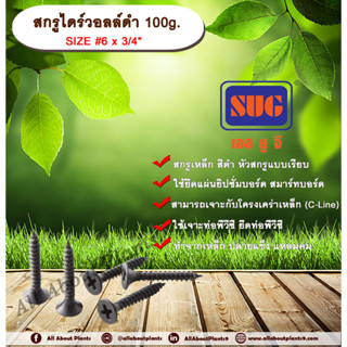 สกรูไดร์วอล์ดำ 6x3/4” 100g. สกรูยึดแผ่นยิปซั่ม สกรูดำยิงฝ้า สกรูไดวอล น๊อตดำ สกรูดำ น๊อตยิงฝ้า  เกลียวดำ