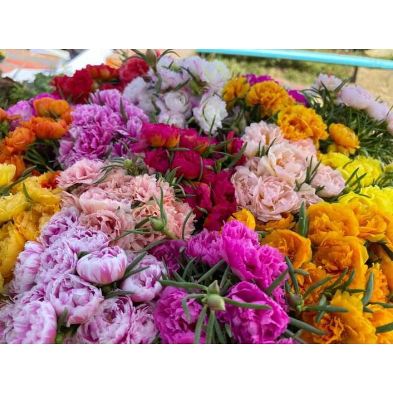 คุณนายตื่นคละสี1ถุงดำ2×5นิ้วขนาดเล็กหลายสี1ถุงดำ