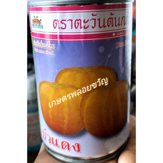 เมล็ดพันธุ์ แตงไทย แตงไทยกลม🍏บัวแดง🍎 บักแตงจิง 🪴บรรจุ 80 กรัม ปลูกได้ประมาณ 1-2 งาน ปลูกได้ ทั้งปี