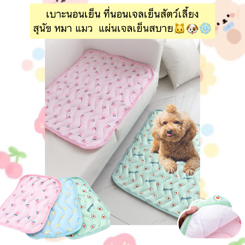 AL-469 เบาะนอนเย็น ที่นอนเจลเย็นสัตว์เลี้ยง สุนัข หมา แมว  แผ่นเจลเย็นสบาย ราคาถูก พร้อมส่ง❄️☃️