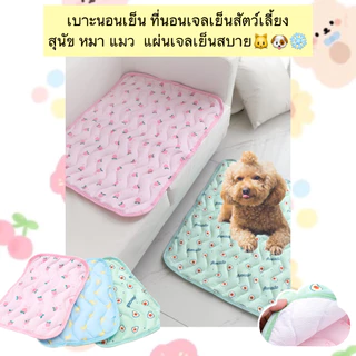 AL-469 เบาะนอนเย็น ที่นอนเจลเย็นสัตว์เลี้ยง สุนัข หมา แมว แผ่นเจลเย็นสบาย ราคาถูก พร้อมส่ง❄️☃️