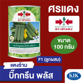 เมล็ดพันธุ์ ผักซอง ศรแดง BIG แตงร้าน บิ๊กกรีนพรัส กระป๋อง ขนาด 100 กรัม