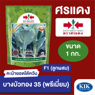 เมล็ดพันธุ์ ผักซอง ศรแดง BIG คะน้า บางบัวทอง พรีเมี่ยม บรรจุ 1 กิโลกรัม