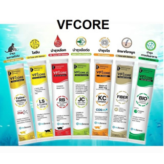 Vfcore แมวเลีย หมาเลีย ไลซีน, บำรุงเลือด, ข้อต่อ, วิตามินรวม, บำรุงไต, ไฟเบอร์, พรี+โพรไบโอติก (แบ่งขายเป็นซอง)