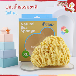 Pureen ฟองน้ำอาบน้ำธรรมชาติ เพียวรีน ใหญ่สุดของเพียวรีน ไซส์ XL