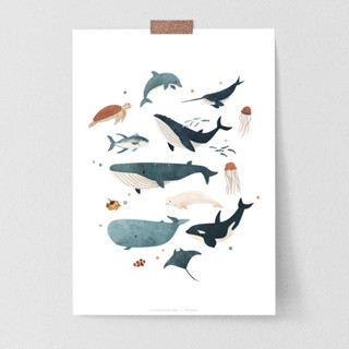 Life under the sea poster in A3 : matted paper poster