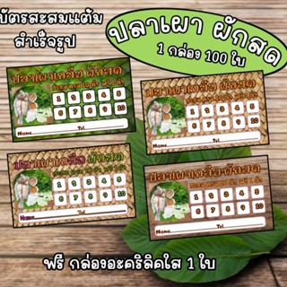 บัตรสะสมแต้มสำเร็จรูป ปลาเผาผักสด จำนวน 50 ใบและ 100 ใบ