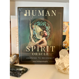 ไพ่ออราเคิลแท้ Human Spirit Oracle กล่องพรีเมี่ยม