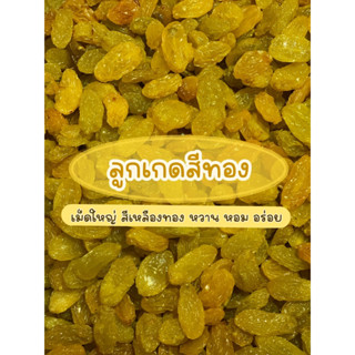 ลูกเกดสีเหลืองทอง ขนาด 500G (Golden Raisins) เม็ดสวย แห้ง ไม่แฉะ สดใหม่