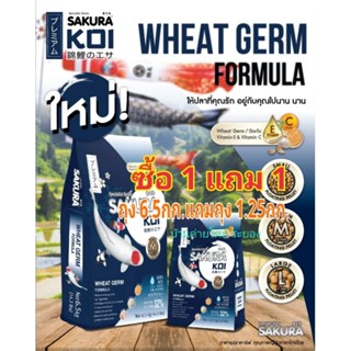 💥อาหารปลาคาร์ฟซากุระโค่ย สูตรวีทเจิร์ม ขนาด 6.5 kg. แถมฟรี ถุง 1.25Kg. ด่วนๆหมดแล้วหมดเลย