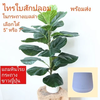 ต้นไม้ปลอม ไทรใบสัก ปลอม ต้นไม้ประดับบ้าน