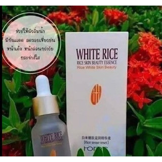 เซรั่มข้าวขาว Rorec White Rice Essence