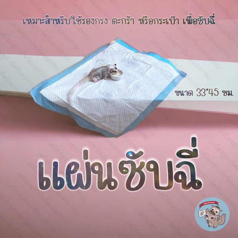 V ( แผ่นซับฉี่ 5 & 10​ แผ่น ) แบ่งขาย แผ่นรองกรง​ แผ่นรองฉี่​ รองกรง​ กรง​ สัตว์เลี้ยง​ ชูการ์​ กระรอก​ บุชเบบี้​ ลิง