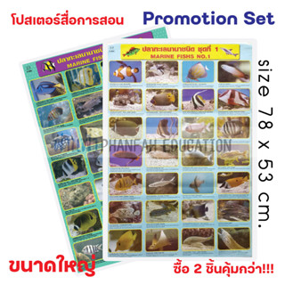 (ถูกกว่าซื้อแยก10%)โปสเตอร์ความรู้ ปลาทะเลนานาชนิด ชุดที่ 1 และ 2 เซทสุดคุ้ม