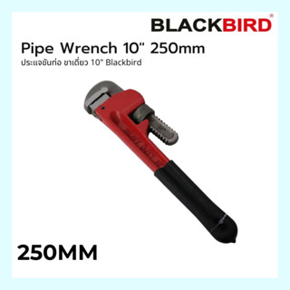 Pipe Wrench 10" 250mm  Blackbird ประแจขันท่อ ขาเดี่ยว 10"