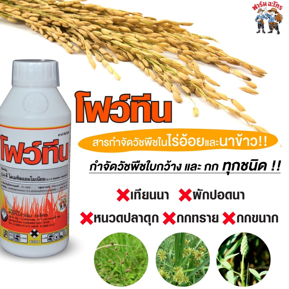 โฟว์ทีน กำจัดวัชพืชใบกว้าง ผักบุ้ง ผักปอดนา หนวดปลาดุก กกทราย กกขนาก นาข้าวและไร่อ้อย