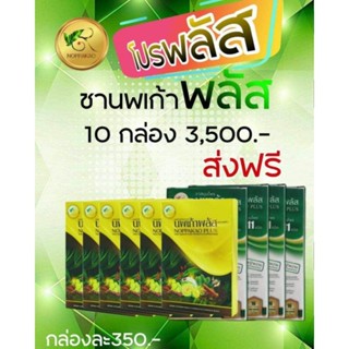 ส่งฟรี เซตสมุนไพรนพเก้า ขนาด 10 กล่อง ชานพเก้า แคปซูลนพเก้า ชานพเก้าพลัส แคปซูลนพเก้าพลัส ชาสมุนไพรนพเก้า