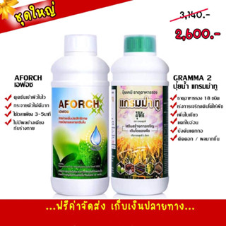 เอฟอช+แกรมม่าทู1,000ซีซี สูตรเร่งการเจริญเติบโต