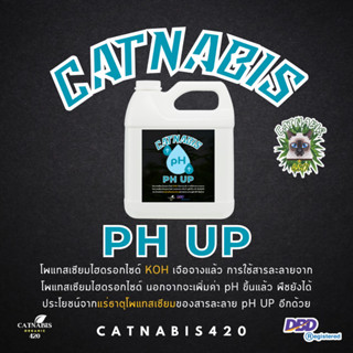 pH UP น้ำยาเพิ่มค่า pH เข้มข้น แบบแกลลอน คุ้ม!!! Concentrated buffering solution (base) for pH stability - Chemrich