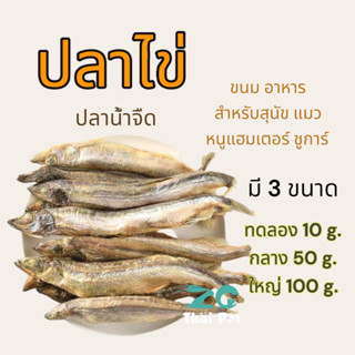 [ZC PET] ปลาไข่ ปลาน้ำจืด// อาหาร ขนมทานเล่น สำหรับสุนัข แมว หนูแฮมเตอร์ สัตว์ฟันแทะสามารถทานได้