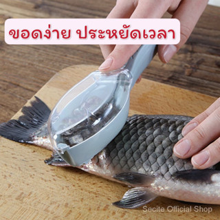 อุปกรณ์ขอดเกล็ดปลา สะดวก ง่าย รวดเร็ว ไม่เลอะเทอะ