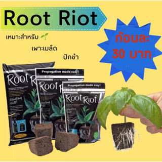 Root Riot ก้อนเพาะเมล็ด ของแท้100%นำเข้า ปักชำ  ก้อนปักชำ แบ่งขาย