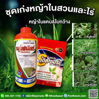 กำจัดหญ้า กลูโฟเลียร์ ขนาด 1 ลิตร ในสวน ในไร่ กำจัดวัชพืช ใบแคบ ใบกว้าง เร่งการดูดซึม คูลเกษตร KP21