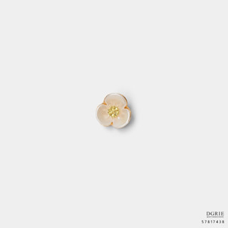 Creeping Burhead Flower Brooch - เข็มกลัดดอกบัวอเมซอน