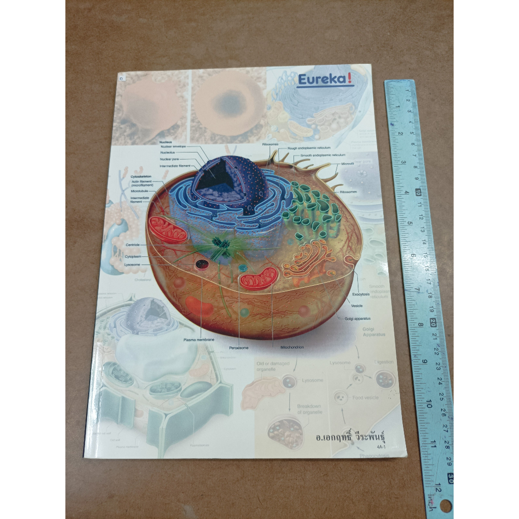 หนังสือยูเรก้า Ureka ชีววิทยา ม.4 หลักสูตร A โดย อ.เอกฤทธิ์ วีระพันธุ์