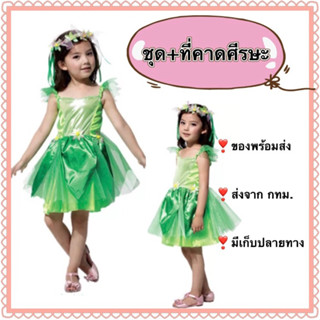 ชุดไอริช ชุดไอร์แลนด์ irish ireland ยุโรป europe นานาชาติ ประจำชาติ Gree kid costume