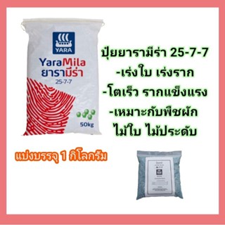 #ปุ๋ยยารามีร่า สูตร 25-7-7 รับประกันของแท้ 100% แบ่งขาย 1 กก. เม็ดสีฟ้า บำรุงต้น เร่งใบ เร่งราก