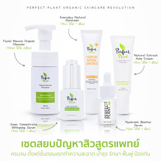 Perfect Plant เซตปราบสิวสูตรแพทย์ สิวหายไม่ขายฝัน สิวอุดตัน สิวอักเสบ สิวติดสาร สิวผด ปลอดภัย ไร้สารอันตราย