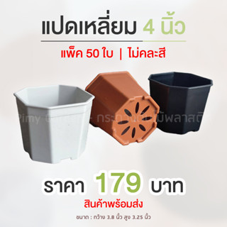 กระถางแคคตัส ทรงแปดเหลี่ยม 4 นิ้ว แพ็ค 50 ใบ