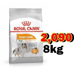 Royal Canin Mini Coat Care 8Kg. สูตรบำรุงขน อาหารเม็ดสำหรับสุนัขพันธุ์เล็ก Exp:01/2024