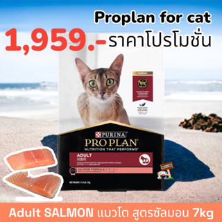 PRO PLAN 7กก.Exp.09/2024  ADULT CAT SALMON โปรแพลน อาหารแมวโต สูตรปลาแซลมอน ชนิดเม็ด proplan