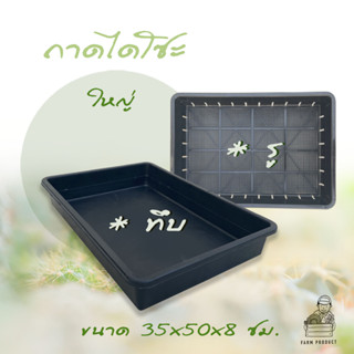 ถาดทึบ 25 ใบ ถาดไดโซะ