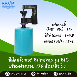 มินิสปริงเกอร์ รุ่น BIG พร้อมฝาครอบพีวีซี ขนาด 1/2" ปริมาณน้ำ 175 ลิตร/ชั่วโมง BIG-175-CO50 บรรจุ 10 ตัว