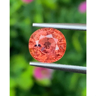 พลอย ชมพู ส้ม Pink Orange Sapphire 2.30 กะรัต (Cts.) พลอยแท้ อัญมณีมงคลประจําวันเกิด เครื่องประดับพลอย