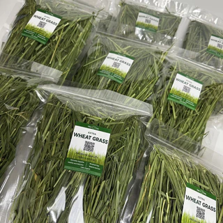 ✨ใหม่ 2026✨ หญ้ากระต่าย || วีทกลาส || Wheatgrass อบลมร้อน คัดพรีเมี่ยม สำหรับสัตว์ฟันแทะทุกชนิด