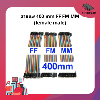 สายแพ 400 mm FF FM MM (female male) 40-40 pin 40 cm