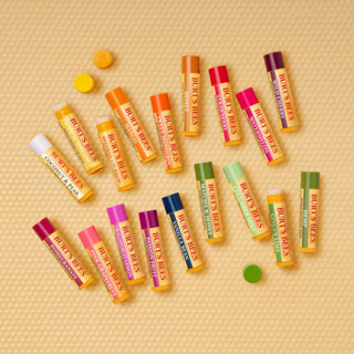 พร้อมส่ง🇺🇸 Burts Bees Lip Balm with Beeswax &amp; Fruit Extracts