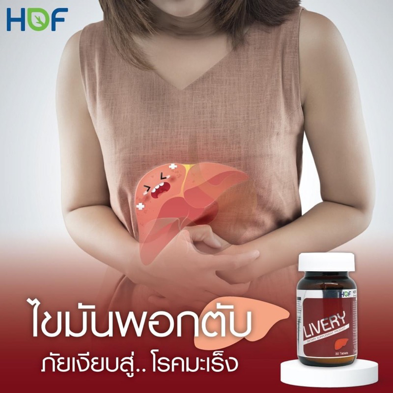 HOF LIVERY ลิเวอรี่ อาหารเสริมบำรุงตับ ฮอฟ ลิเวอรี่ อาหารเสริมบำรุงตับ 30 เม็ด Pharmahof